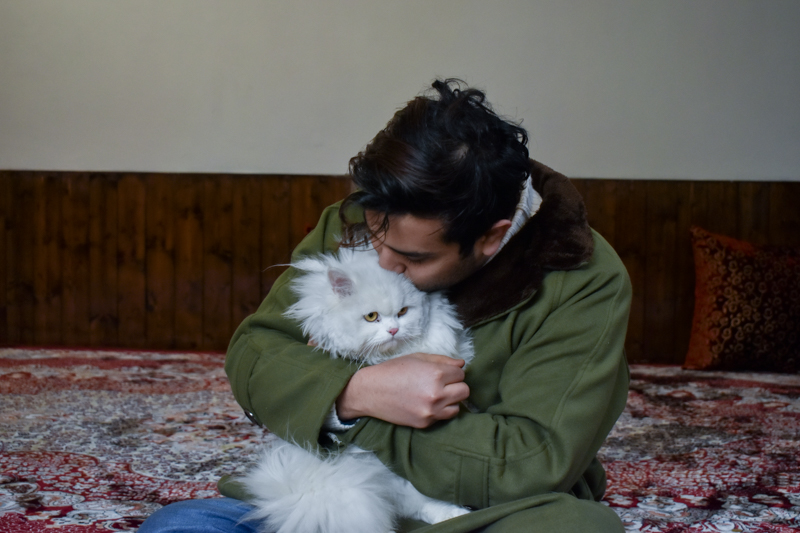 The Great Cat Panic in Kashmir: How Viral Misinformation Sparked Fear Among Pet Owners