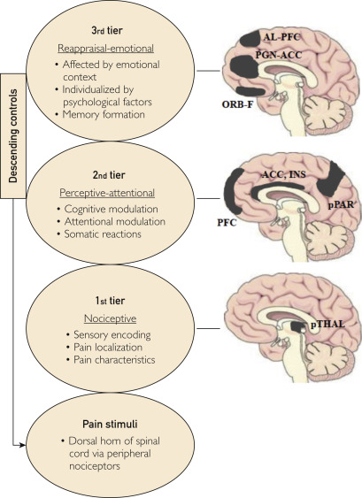 Beyond the Ache: Chronic Pain’s Mental Health Impact Revealed
