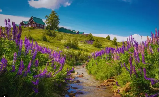 Is It Still Safe to Explore the Beautiful Meadows of Kashmir After the April 2025 Attack?