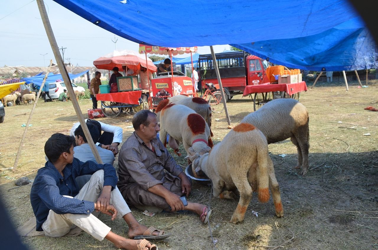 Eid Market Slump: Sacrificial Animal & Retail Sales Hit Record Lows in Kashmir
