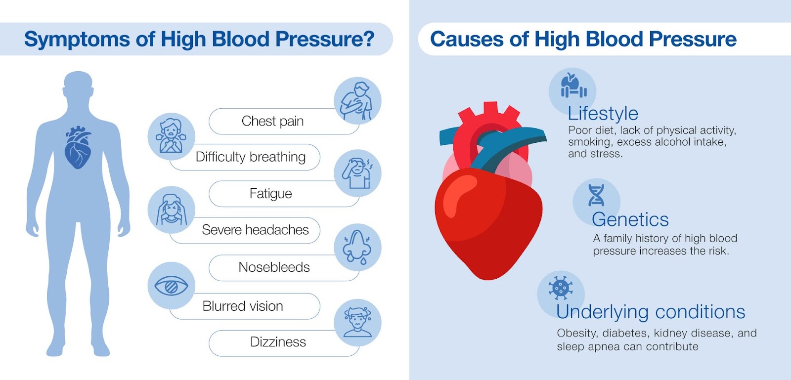 What Causes High Blood Pressure? Top Medical & Lifestyle Causes in India — And Exactly How to Fix It