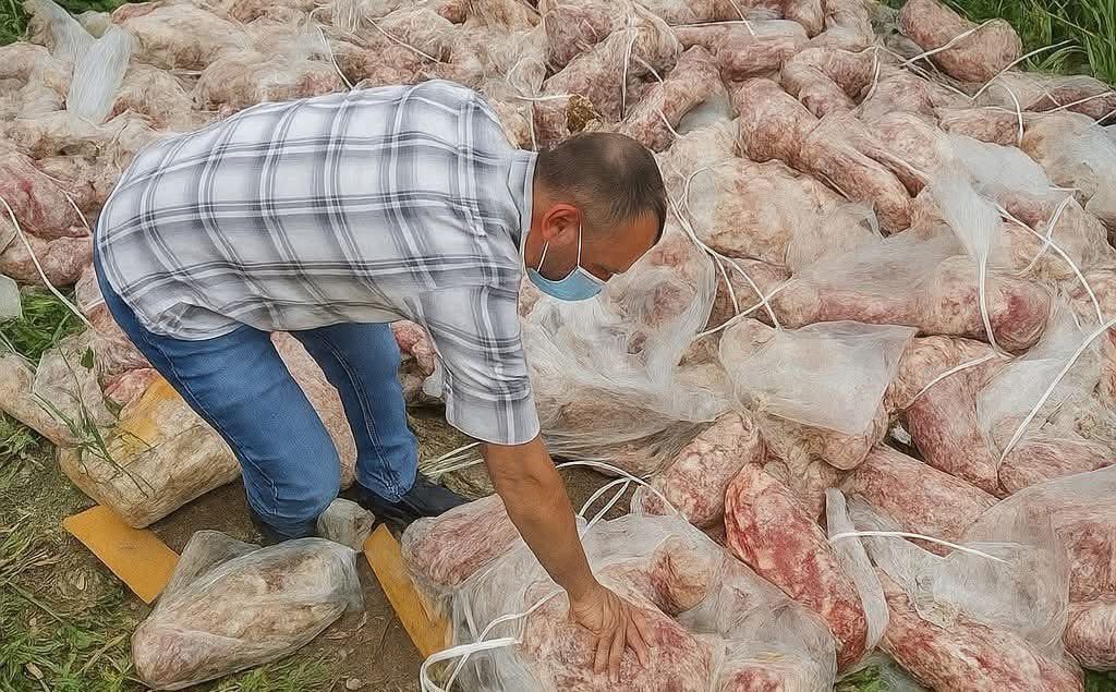 Meet the Meat Mafia: Kashmir’s Rotten Truth Unveiled