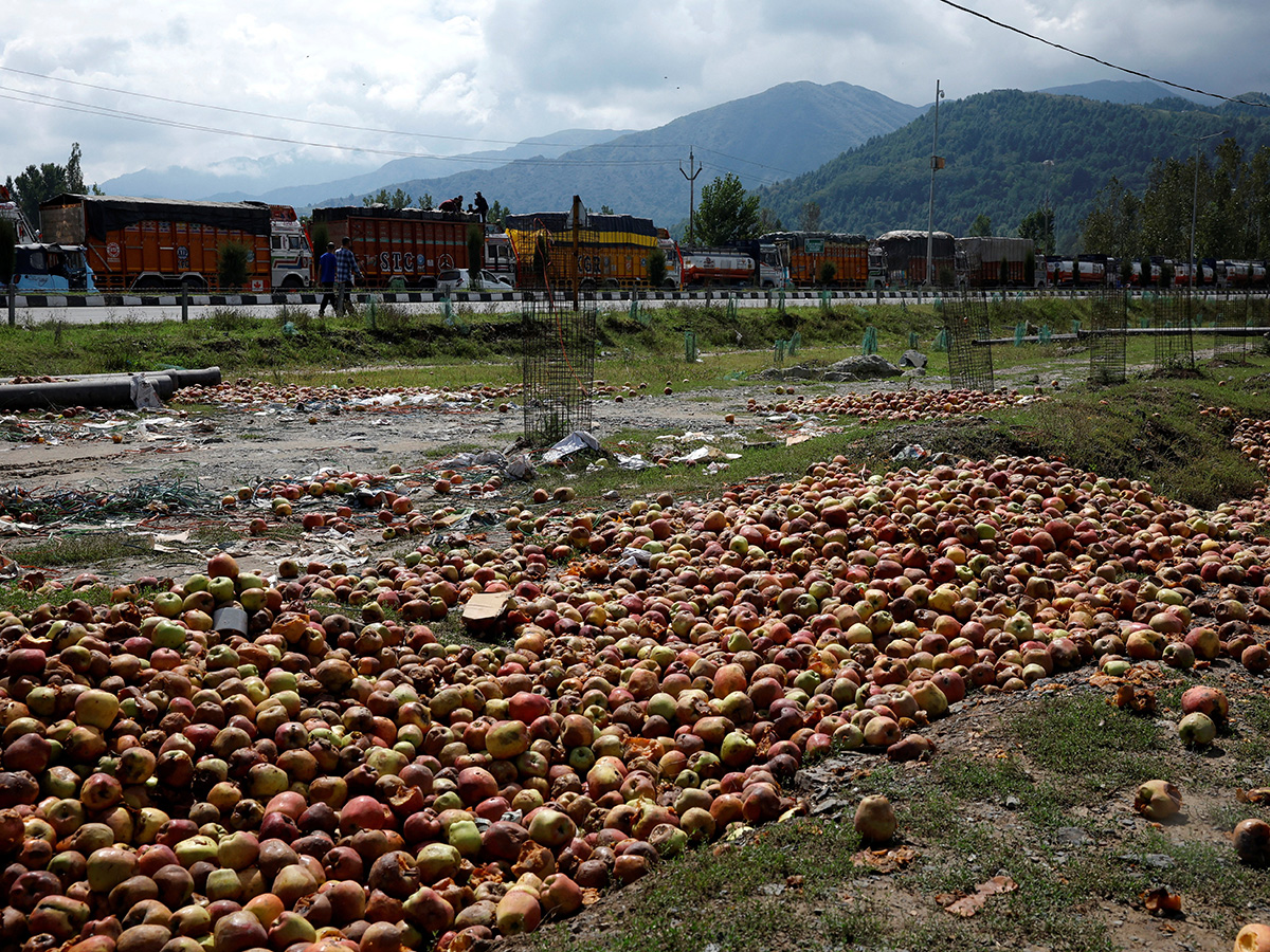 Kashmir’s Lifelines Under Siege: Political Power, Handicrafts, Tourism, and Fruit Industry Face Collapse