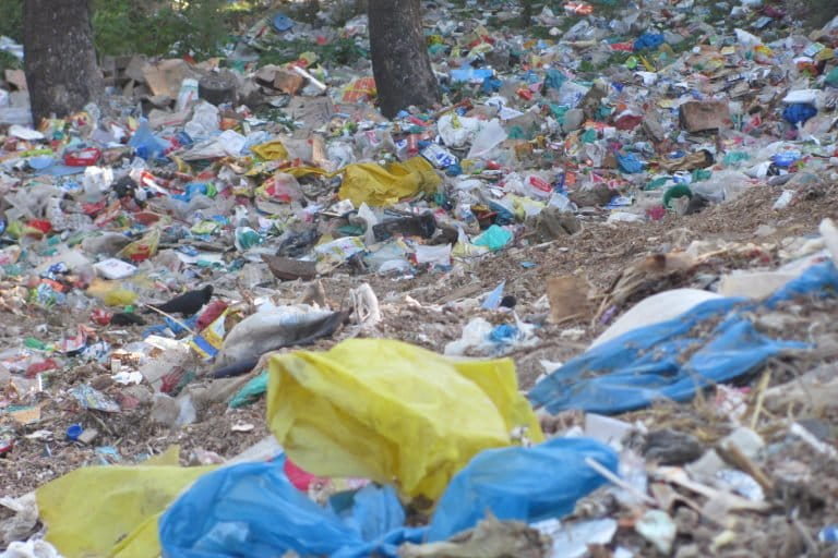 Kashmir’s Polluted Paradise: How Unregulated Tourism Is Slowly Strangling the Rivers of Pahalgam