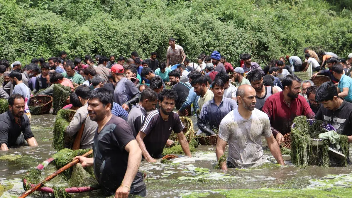 Panzath’s 500 Springs: How a Kashmiri Village Is Reviving Its Dying Water Heritage