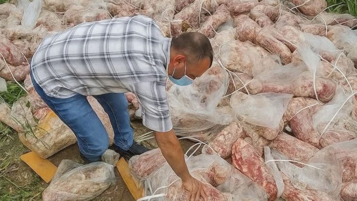 Adulteration Everywhere, Trust Nowhere: How Kashmir Slipped into a Full-Blown Food Safety Crisis