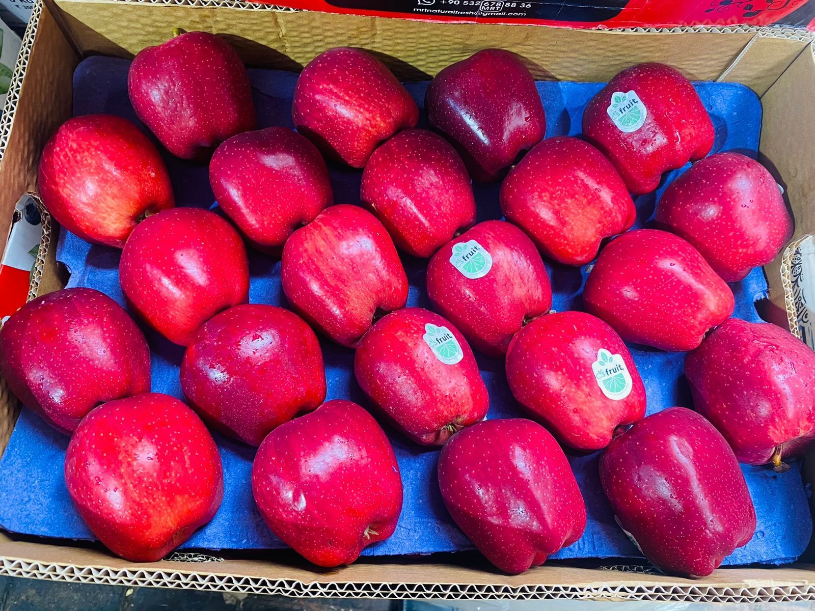 ‘Importing Apples from New Zealand Could Cripple Kashmiri Growers’: NC Flags Major Threat to Valley’s Lifeline Industry