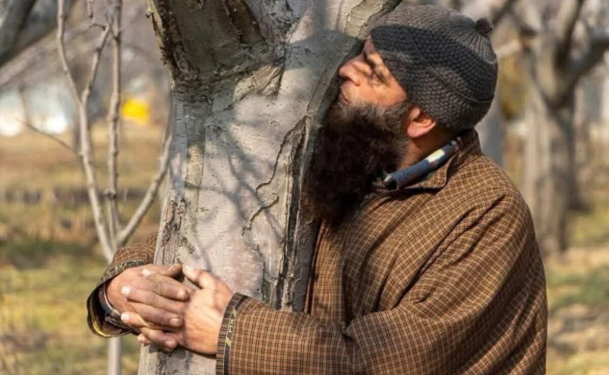 Centre Halts 3 Railway Projects in J&K After Orchard & Farmer Opposition; NC, PDP Welcome Decision