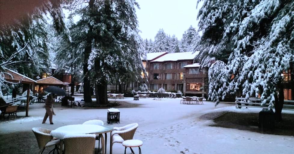 Kashmir Back in a Classic Winter Mood: Snow in Gulmarg & Sonamarg, Rain Soaks Srinagar