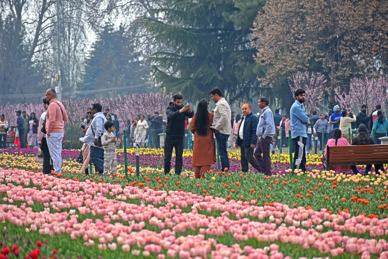 Kashmir’s Tulip Garden Boom 2026: Nearly 1 Lakh Visitors in 10 Days as Srinagar Emerges as India’s Spring Tourism Capital