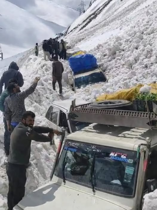 Zojila Avalanche Tragedy: 6–7 Dead, Multiple Injured as Rescue Ops Continue in Harsh Conditions