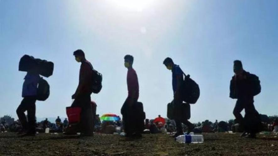 Kashmir’s Great Labour Paradox: Why Migrants From UP and Bihar Thrive While Local Youth Dream of Leaving