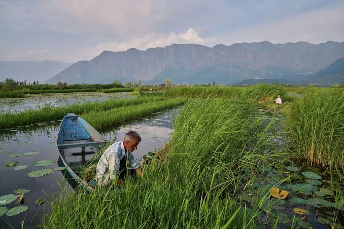 Kashmir’s Dying Lakes: How Climate Change, Pollution and Urban Expansion Are Pushing Dal, Wular and Anchar Towards an Ecological Crisis