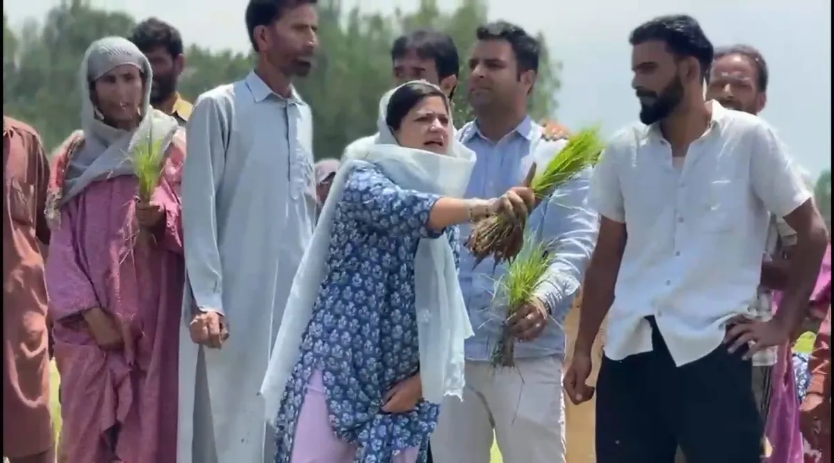 Kashmir's Paddy Land Revolt: How a Farmers' Protest in Bijbehara United Political Rivals Against Land Conversion