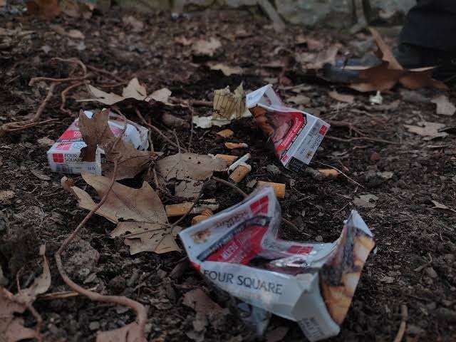 Smoke in the Valley: Is Kashmir Losing Its Daughters to Nicotine? A Silent Crisis That Can No Longer Be Ignored
